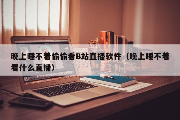 晚上睡不着偷偷看B站直播软件（晚上睡不着看什么直播）