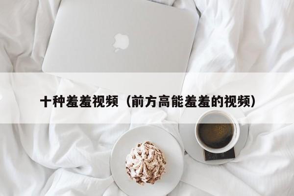 十种羞羞视频（前方高能羞羞的视频）
