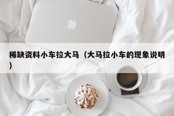 稀缺资料小车拉大马（大马拉小车的现象说明）