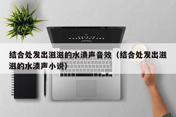 结合处发出滋滋的水渍声音效（结合处发出滋滋的水渍声小说）