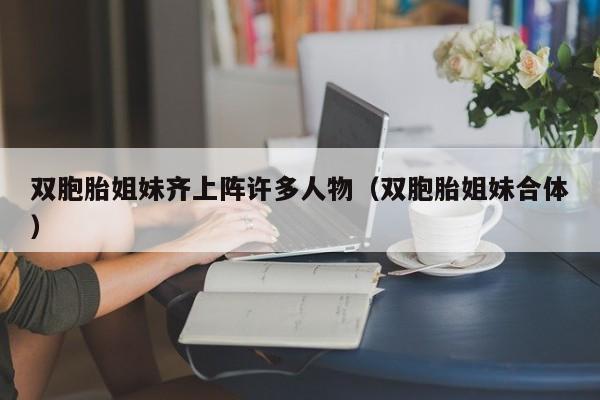 双胞胎姐妹齐上阵许多人物（双胞胎姐妹合体）