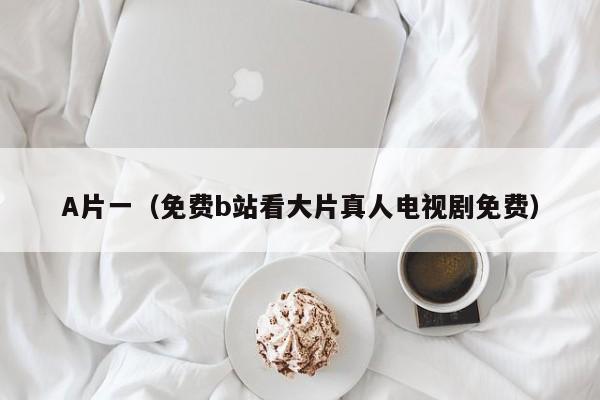 A片一（免费b站看大片真人电视剧免费）
