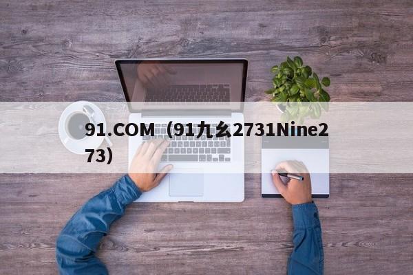 91.COM（91九幺2731Nine273）