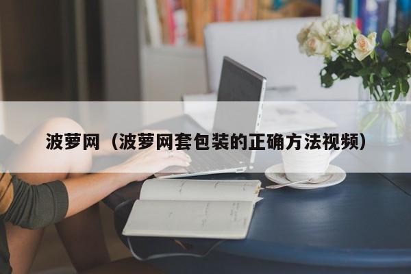 波萝网（波萝网套包装的正确方法视频）
