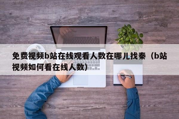 免费视频b站在线观看人数在哪儿找秦（b站视频如何看在线人数）