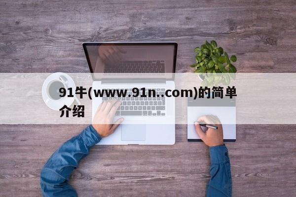 91牛(www.91n..com)的简单介绍