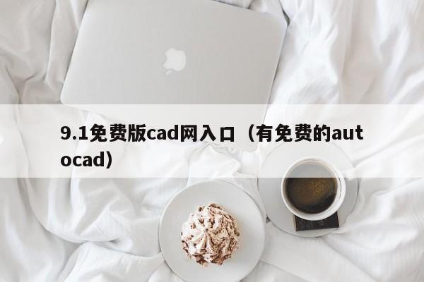 9.1免费版cad网入口（有免费的autocad）