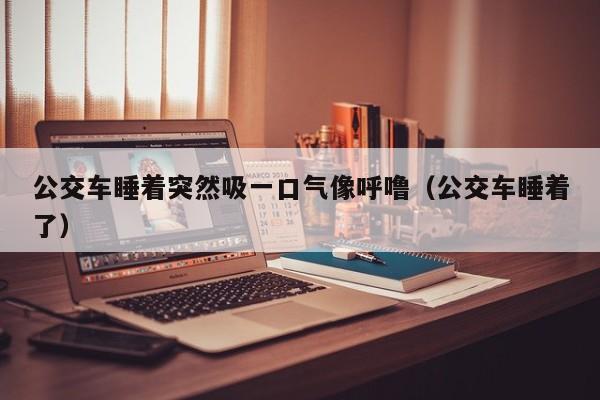 公交车睡着突然吸一口气像呼噜（公交车睡着了）