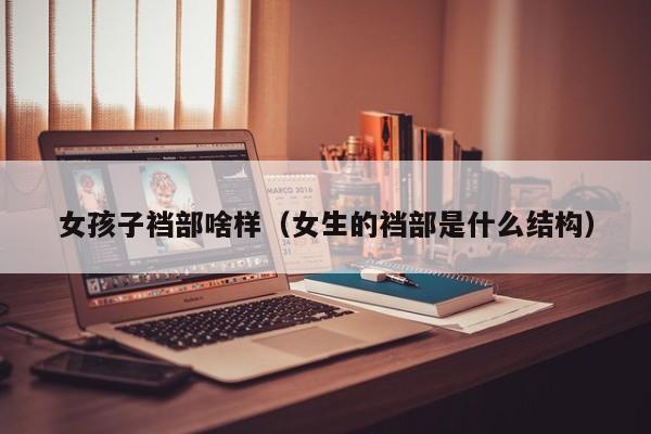 女孩子裆部啥样（女生的裆部是什么结构）