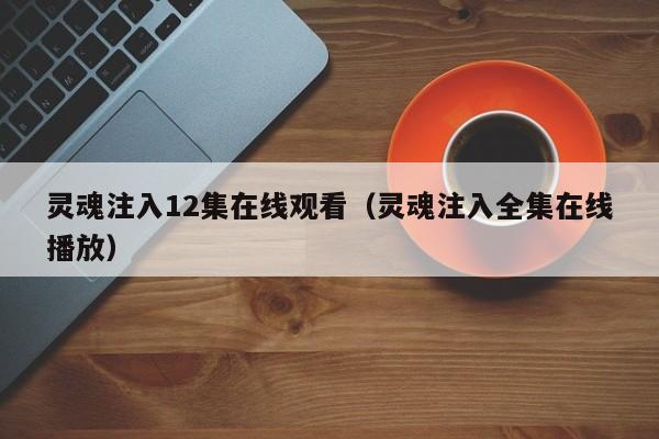 灵魂注入12集在线观看（灵魂注入全集在线播放）