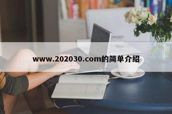 www.202030.com的简单介绍