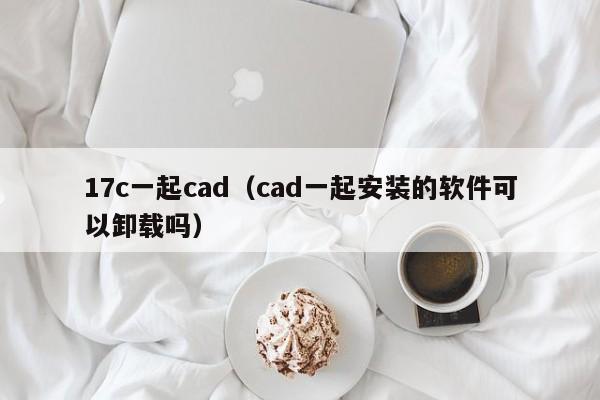 17c一起cad(cad一起安装的软件可以卸载吗)