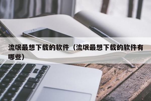 流氓最想下载的软件（流氓最想下载的软件有哪些）