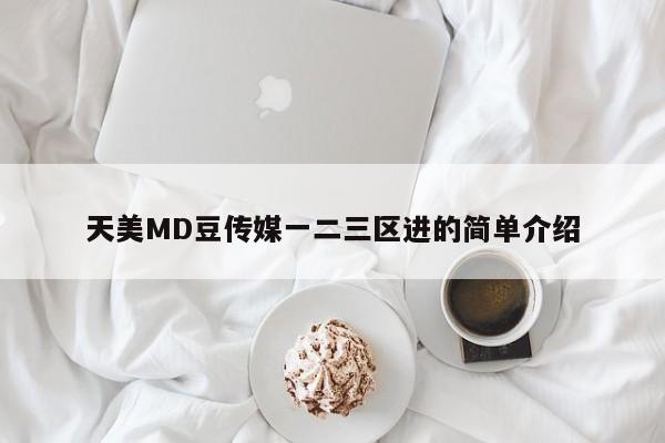 天美MD豆传媒一二三区进的简单介绍