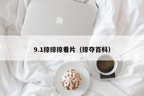 9.1掠掠掠看片(掠夺百科)