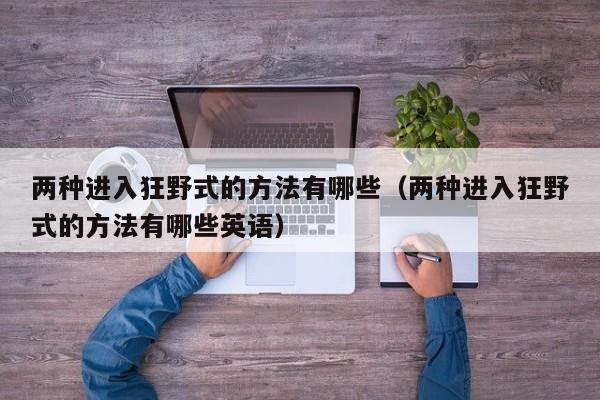 两种进入狂野式的方法有哪些(两种进入狂野式的方法有哪些英语)