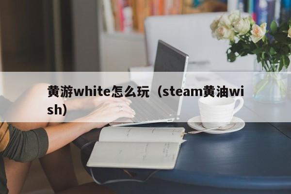黄游white怎么玩(steam黄油wish)