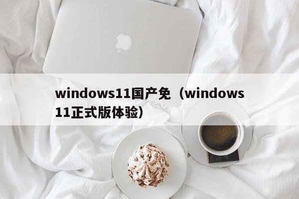 windows11国产免（windows11正式版体验）