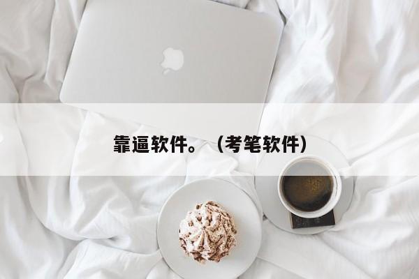 靠逼软件。（考笔软件）