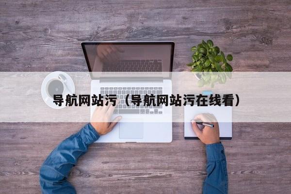 导航网站污（导航网站污在线看）