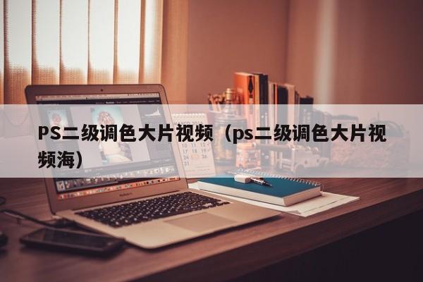 PS二级调色大片视频（ps二级调色大片视频海）
