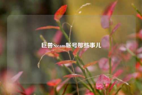 巨兽Steam帐号那些事儿