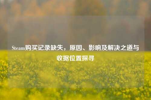 Steam购买记录缺失,原因、影响及解决之道与收据位置探寻