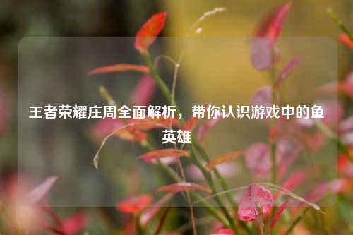王者荣耀庄周全面解析,带你认识游戏中的鱼英雄