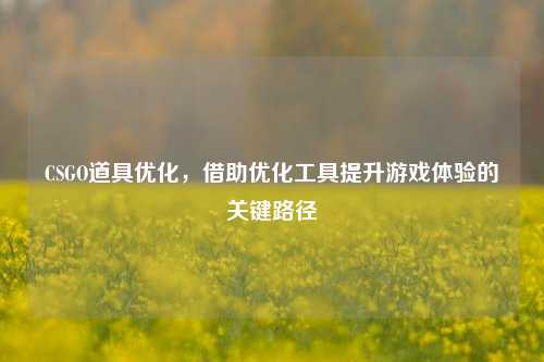 CSGO道具优化,借助优化工具提升游戏体验的关键路径