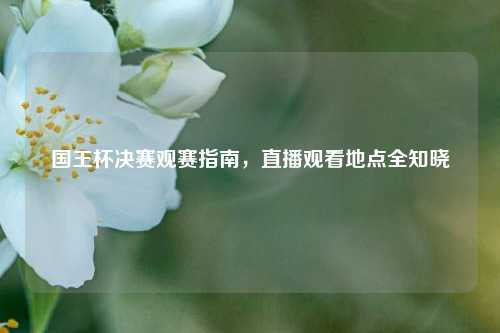 国王杯决赛观赛指南,直播观看地点全知晓