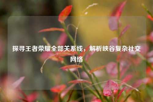 探寻王者荣耀全部关系线,解析峡谷复杂社交网络