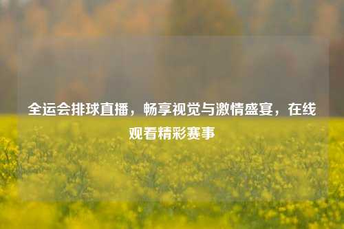 全运会排球直播,畅享视觉与激情盛宴,在线观看精彩赛事