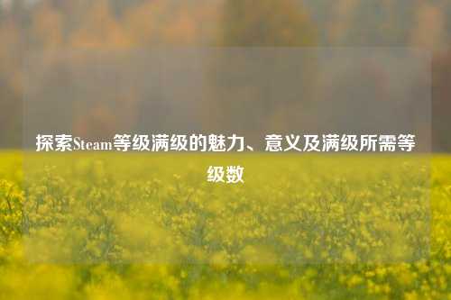 探索Steam等级满级的魅力、意义及满级所需等级数
