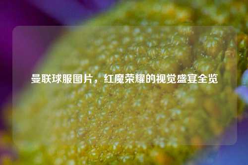 曼联球服图片,红魔荣耀的视觉盛宴全览