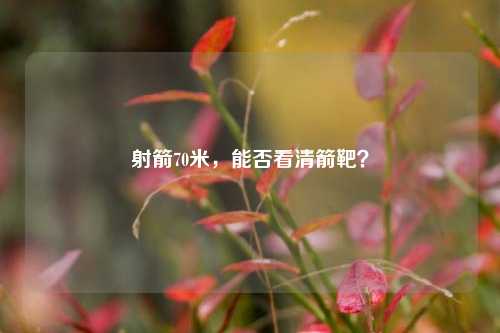 射箭70米,能否看清箭靶?