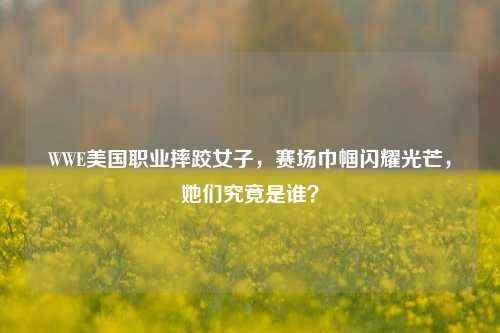WWE美国职业摔跤女子,赛场巾帼闪耀光芒,她们究竟是谁?