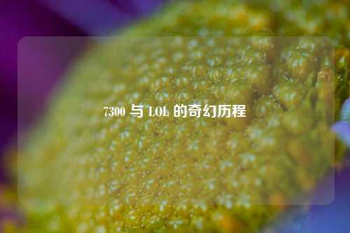 7300 与 LOL 的奇幻历程
