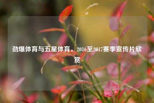 劲爆体育与五星体育,2016至2017赛季宣传片欣赏