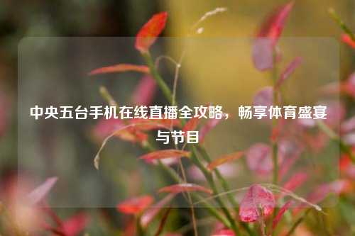 中央五台手机在线直播全攻略,畅享体育盛宴与节目
