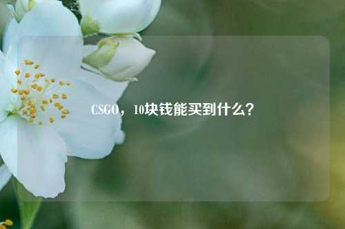 CSGO，10块钱能买到什么？