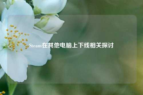 Steam在其他电脑上下线相关探讨