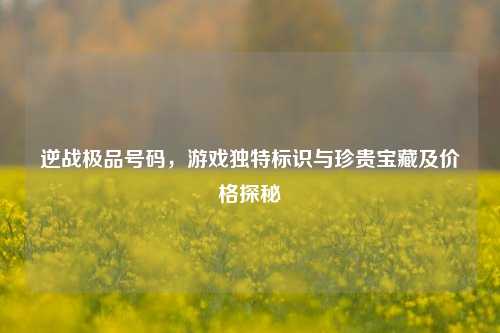 逆战极品号码,游戏独特标识与珍贵宝藏及价格探秘