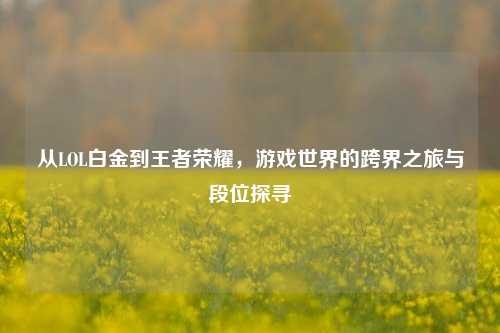 从LOL白金到王者荣耀,游戏世界的跨界之旅与段位探寻