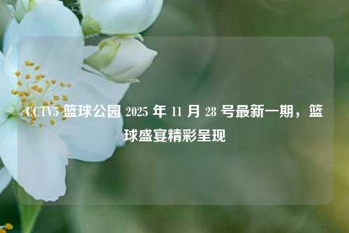 CCTV5 篮球公园 2025 年 11 月 28 号最新一期,篮球盛宴精彩呈现