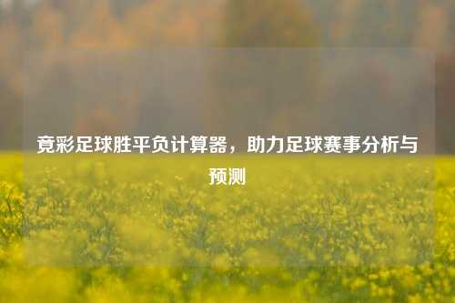 竟彩足球胜平负计算器，助力足球赛事分析与预测