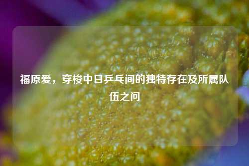 福原爱,穿梭中日乒乓间的独特存在及所属队伍之问