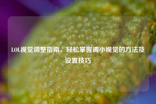 LOL视觉调整指南,轻松掌握调小视觉的方法及设置技巧