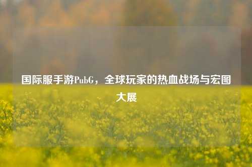 国际服手游PubG，全球玩家的热血战场与宏图大展