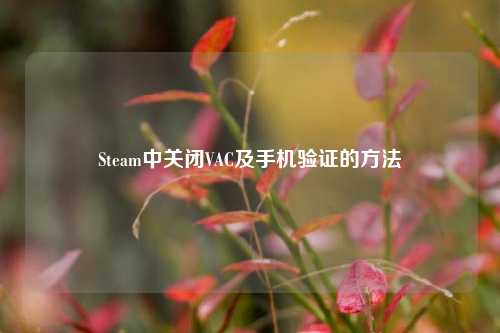 Steam中关闭VAC及手机验证的方法
