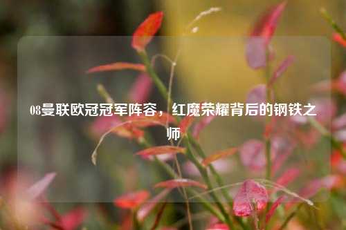 08曼联欧冠冠军阵容，红魔荣耀背后的钢铁之师